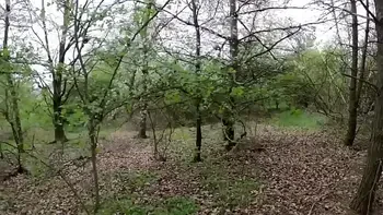 Public Sex Tru Kait Fucked in Forrest