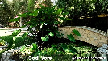 Codi Vore gets tit-fucked - Codi Vore - Scoreland2