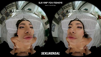 Sugar Baby: Sweet Bella