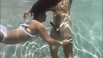 The fun continues: Blowjob, Blonde  Cumshot Porn