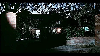 Handsome Nectarines Prtt Pchs (desiree C) (1978, Usa, Classixxx) (fullhd Ai Upscale To 1440)