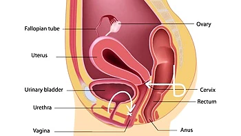 Lovely Blonde With Tight Pussy Masturbate Solo