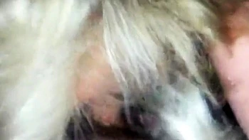 Single American Mom Loves Sucking Cock