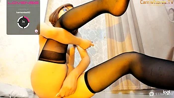 Asian pussy: Amateur, Chaturbate  Cam Porn