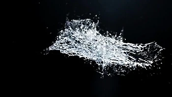 Pussy licking dirt with promiscuous Angel Wicky and Lady Dee from VIPissy