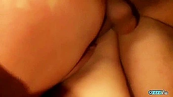 Adorable Kitten At Doggystyle Trailer