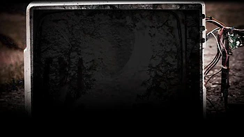 Бледная брюнетка Эшли Шеннон с идеальной киской трахнута