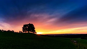 Geile Blondinen fisten Fotzen im FFM-Dreier
