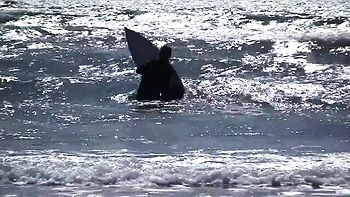 Blonde babe Layla gets facial and titfucked