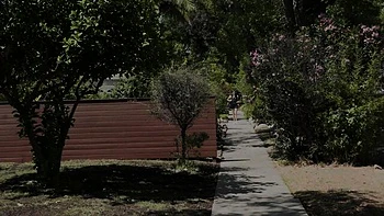 Жесткий анальный трах с транс порноактрисой Grooby