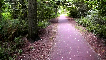 Brünette Teen gibt riskanten Outdoor-Handjob in POV