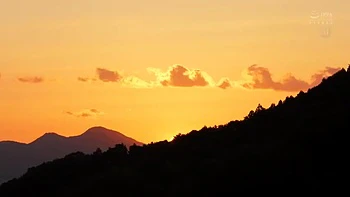 Zorra infiel follada duro mientras cornudo mira