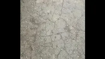 Ki-Sim sucking off a stranger on the street (not fake)