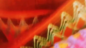 Дикий секс на улице на жесткой земле - индийское лето