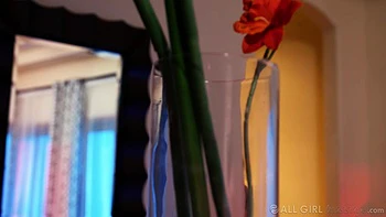 Süße lesbische Massage wird zur Masturbations-Session