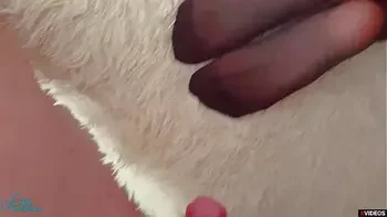 CREAMPIE CUMSHOT  COMPILATION