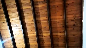 Amateur Teen Porsha's Soft Solo Fuck