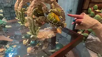 Aquarium Trip with Aliya Brynn Turns Into Aggreive Ass Eating and Milking