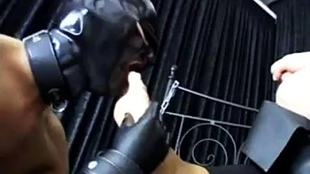 Kinky Sex: Blowjob, Doggy  Anal Porn